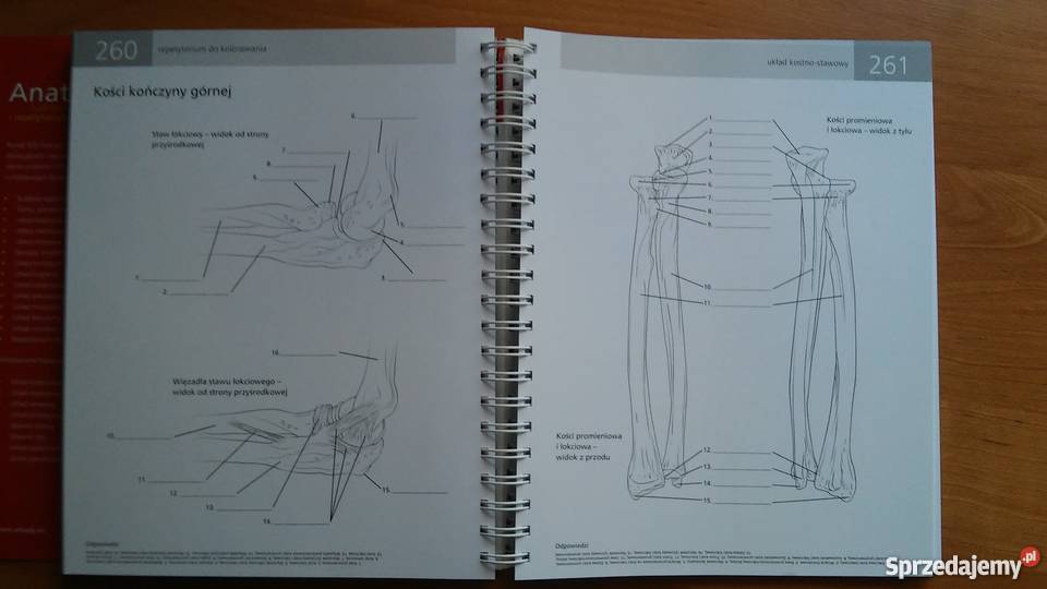 Anatomia Ilustrowany słownik i repetytorium Rok wydania 2013 Myszków sprzedam