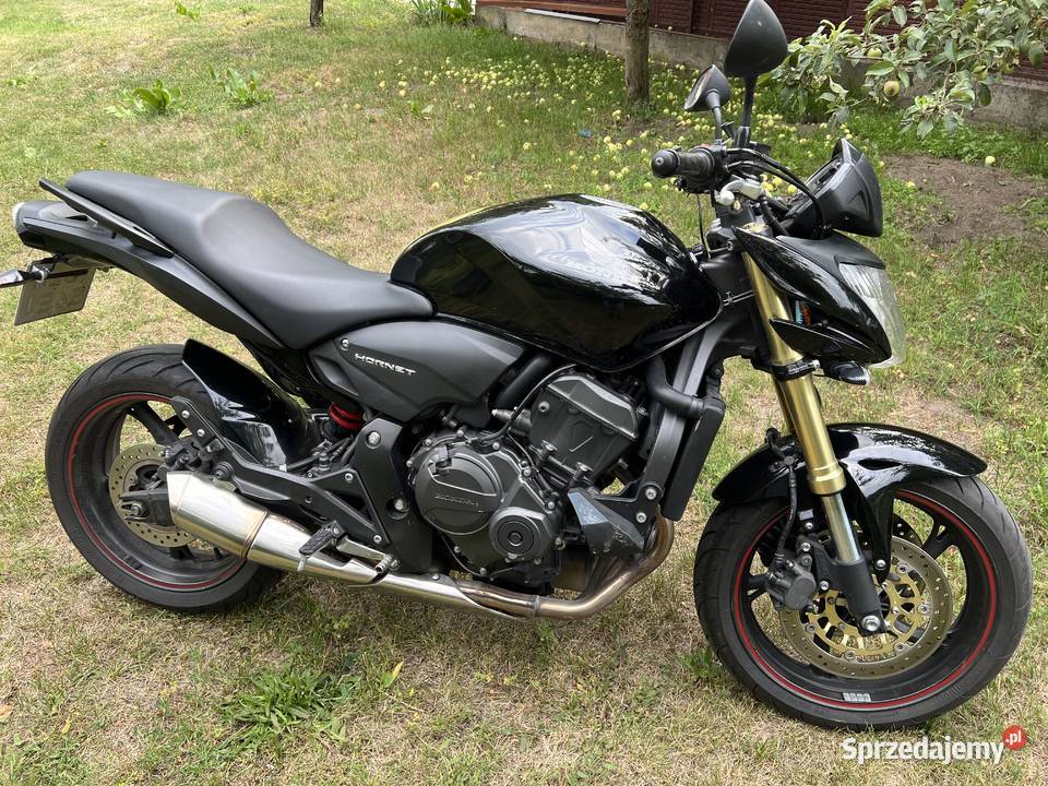 Honda CB 600F Hornet 599 3 podlaskie Łomża sprzedam