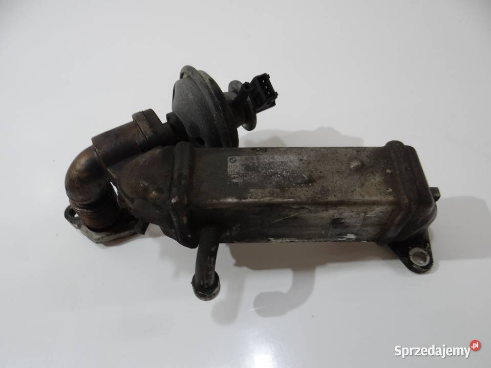 CHŁODNICA SPALIN EGR BMW E60 E61 LIFT 20D Strzyżewice