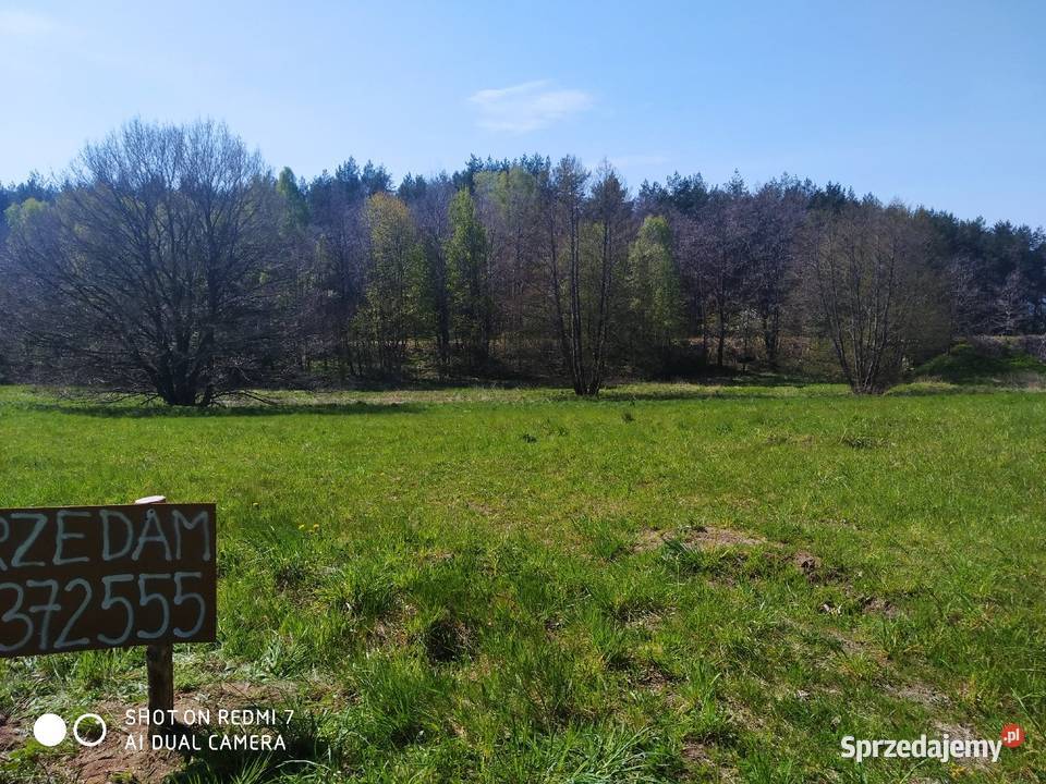 Działka Tadzino gmina Gniewino
