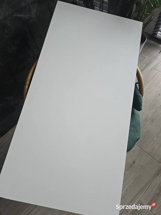 PŁYTKA BIAŁA MAT 60x120 GAT TEST TUBĄDZIN Płytki podłogowe Opoczno sprzedam