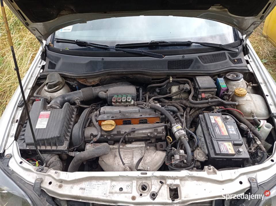 Opel Astra 14 66 kW 2003 r dawca części Szklarka Myślniewska