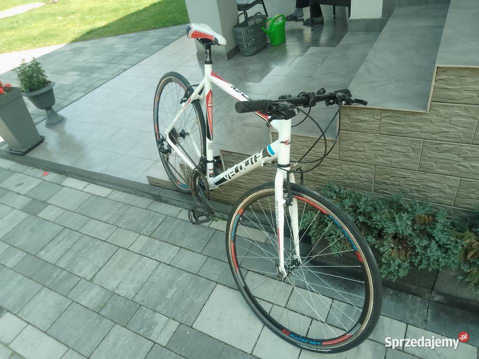 KS Cycling Velocity Rowery Połaniec sprzedam