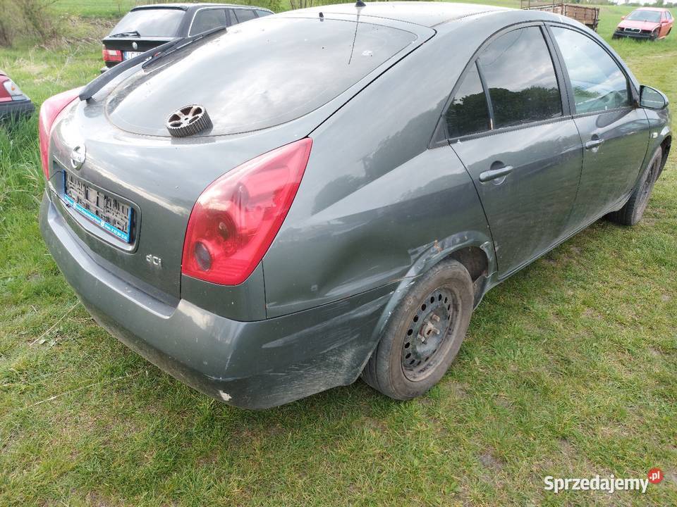 Primerra P12 2006r 19DCI KY5 G drzwi maska Rok produkcji 2006 Hańsk Pierwszy