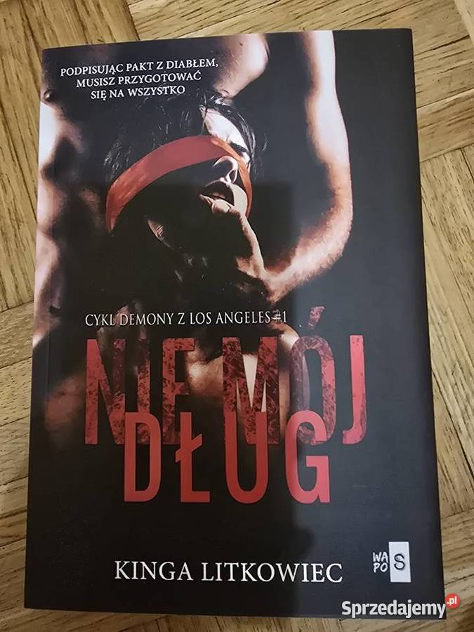 Nie mój dług Linga Litkowiec małopolskie