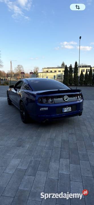 Ford Mustang GT V8 50 Gizałki