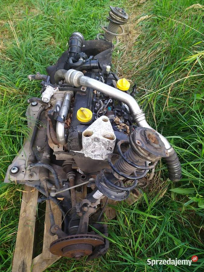 Cześci Renault Modus Nowogard