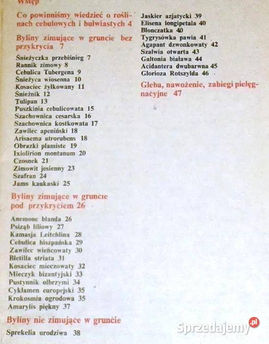 Mało znane ozdobne rośliny cebulowe i bulwiaste miękka Chełm
