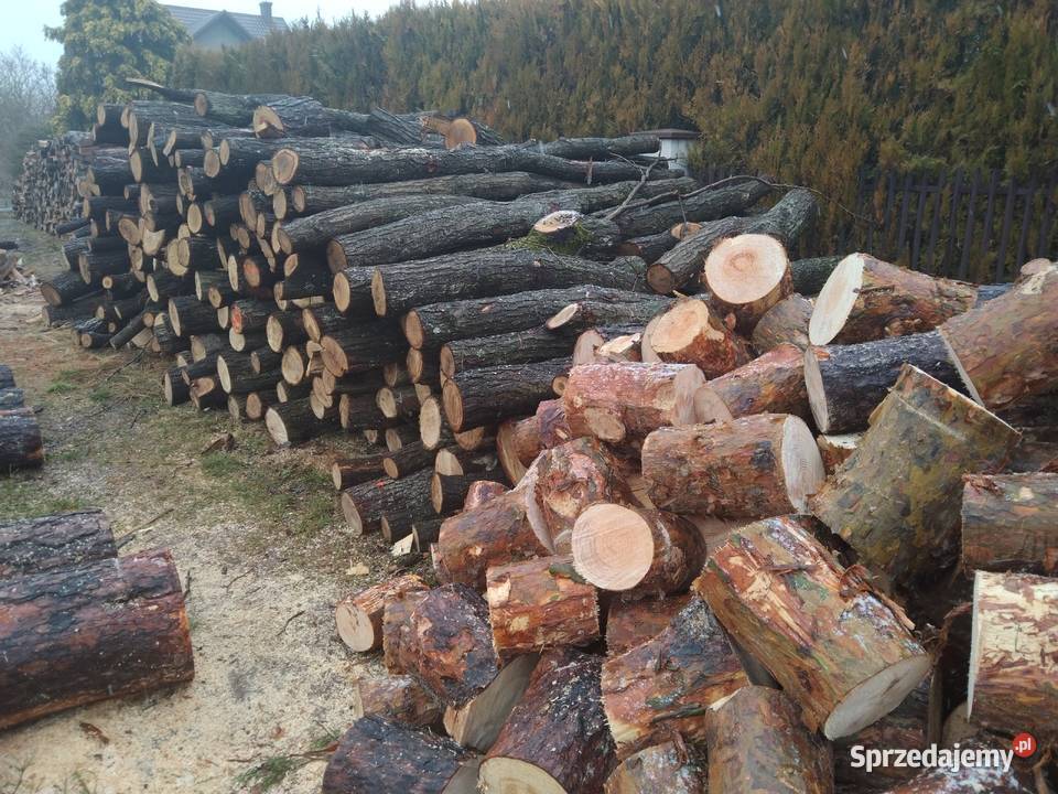 Drzewo opałowe Dom i Ogród