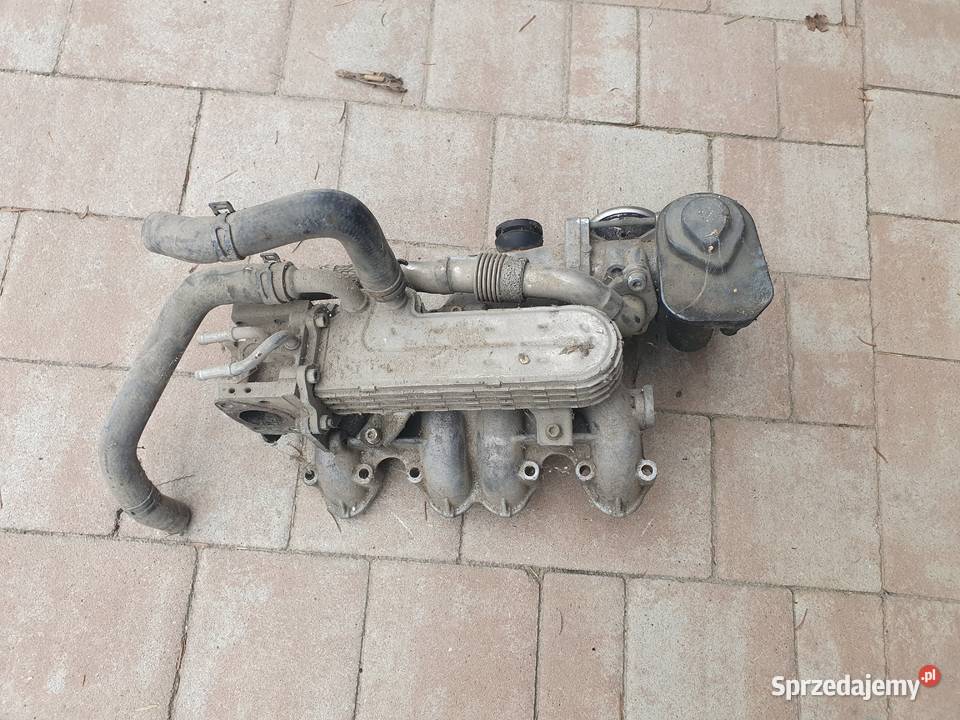 Egr przepustnica kolektor audi a3 8p 19tdi bls