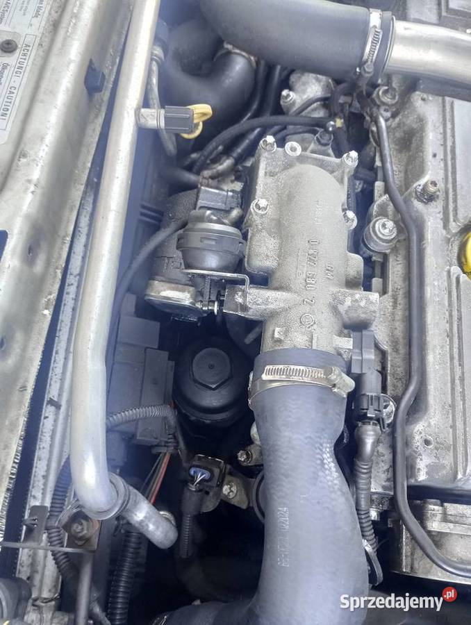 Sprzedam opel Vectra c GTS