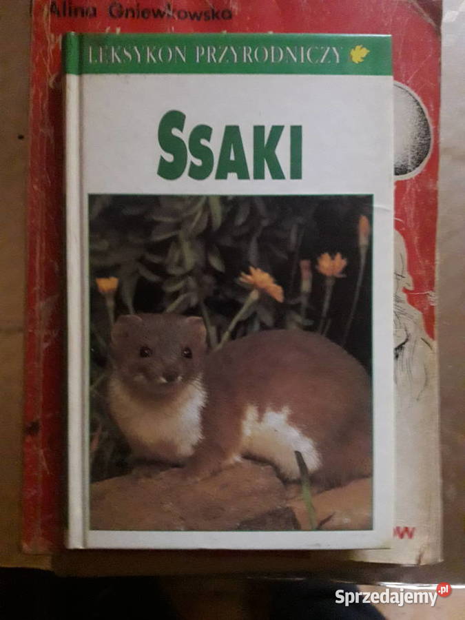 Leksykon przyrodniczy Ssaki Rekordy Ziemi mazowieckie