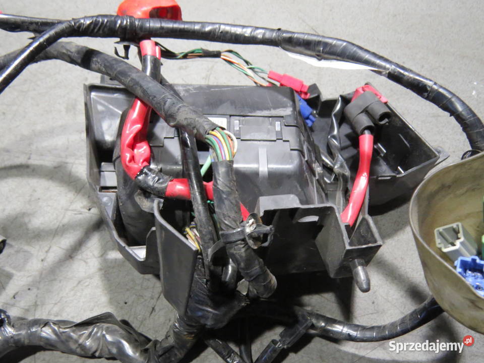 HONDA FORZA 250 NSS 2008 INSTALACJA ELEKTRYCZNA Szczecin sprzedam