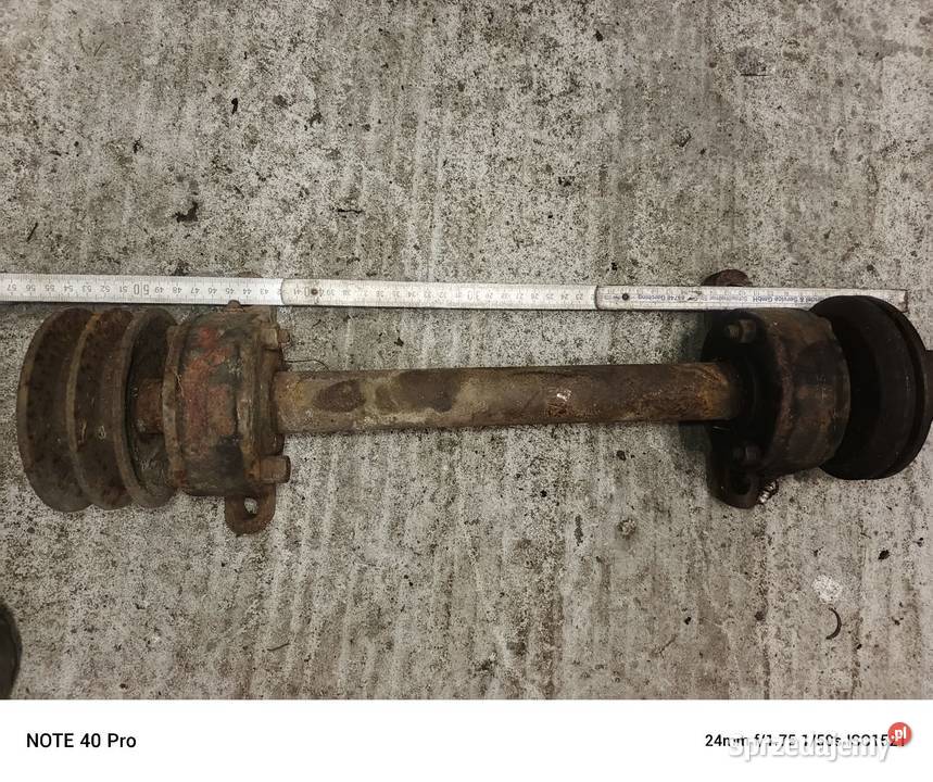 Wałek krajzega Opole