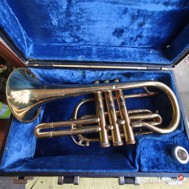 Kornet klawiszowe małopolskie Szczucin