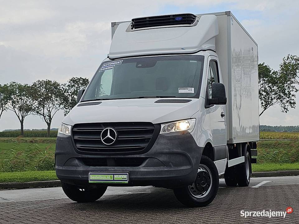 MercedesBenz SPRINTER 516 CDI 37 DL FRIGO