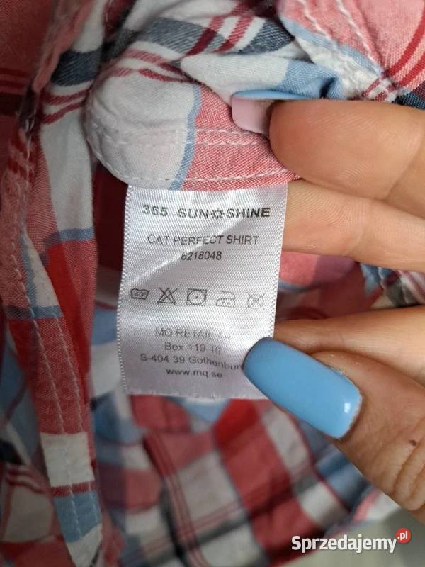 Koszulka w kratę 365 Sunshine 34 100 bawełna pomorskie Trąbki Wielkie