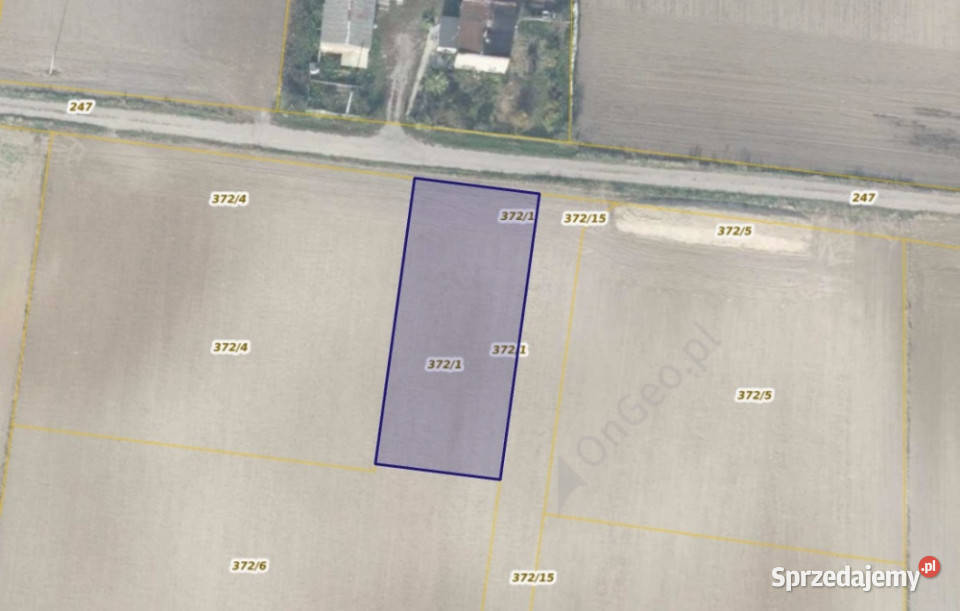 Działka 3721 w miejscowości Sękowo 1009m2 Sprzedaż Grunty i działki wielkopolskie