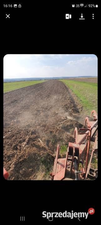 Pługi Pługi sprzedam