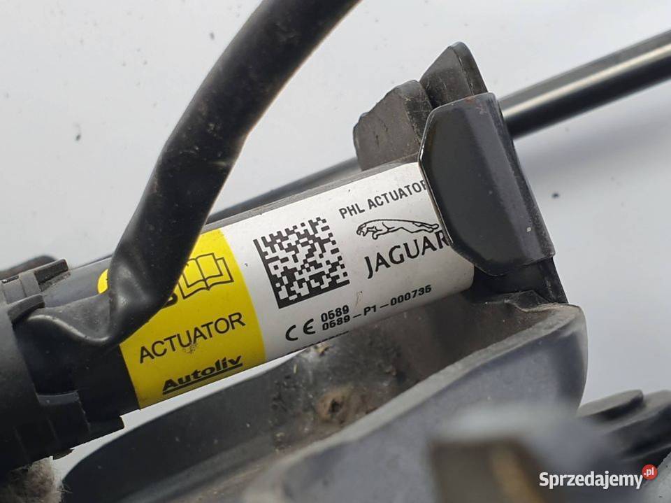 ZAWIAS MASKI JAGUAR XF PURE GX7316E634AD kujawsko-pomorskie Lipno