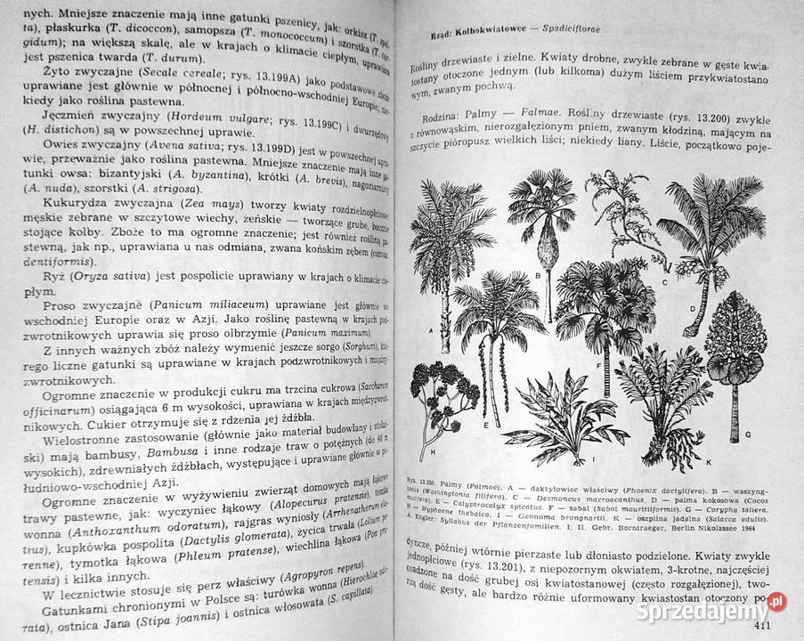 Świat roślin Cz 1234 Józef Prończuk Rok wydania 1986 Chełm