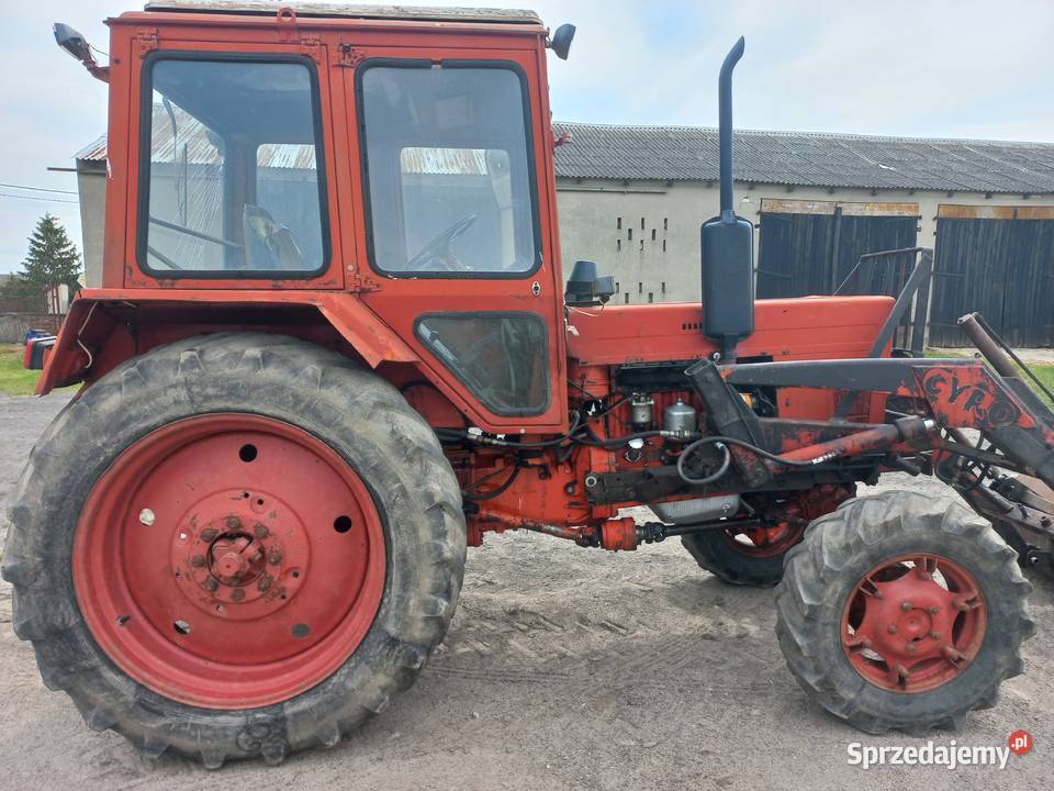 MTZ 82 z turem kujawsko-pomorskie Gogolin