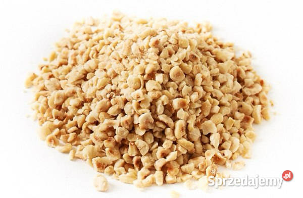 Jadro orzecha laskowego 1315 mm Gruzja