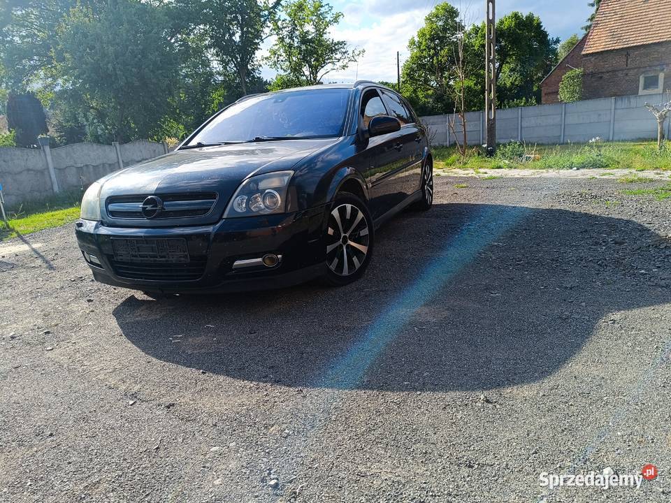 Opel Signum 30 V6 CDTI 177 2005 r Bogata Wersja lubuskie Trzebiel