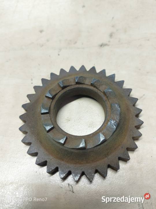 Zębatka startera kosza WSK WFM 125 Łubno