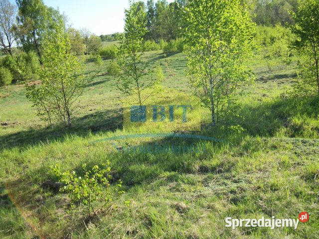 Działka 219 ha jeziorze Drawsko Siemczyno