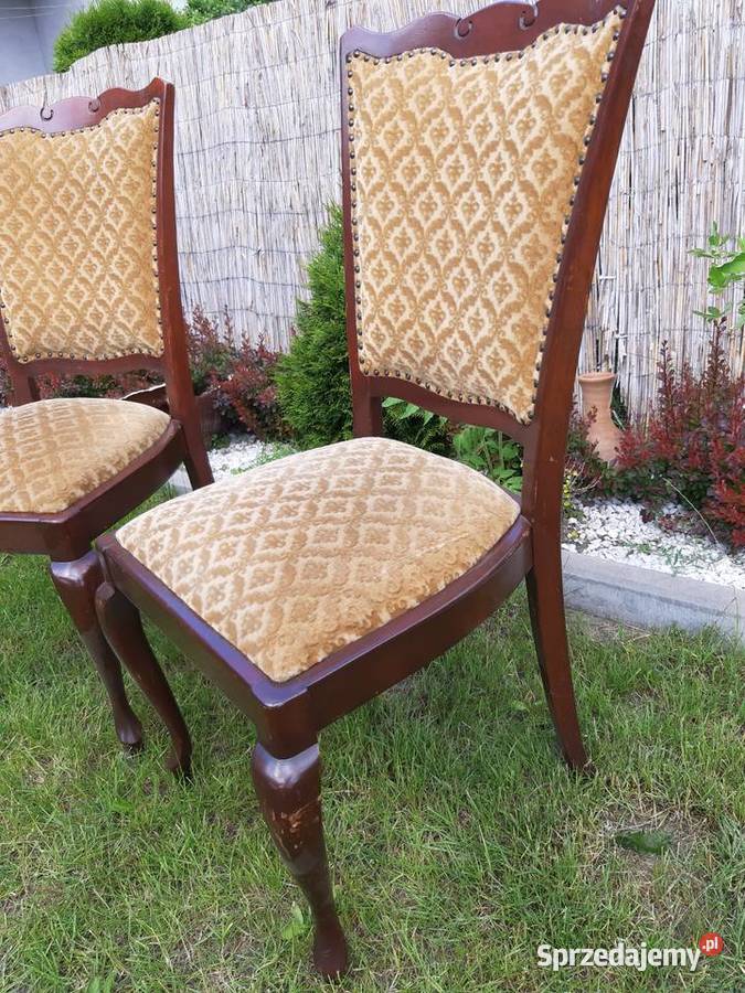 Dwa krzesła holenderskie na lwich nogach