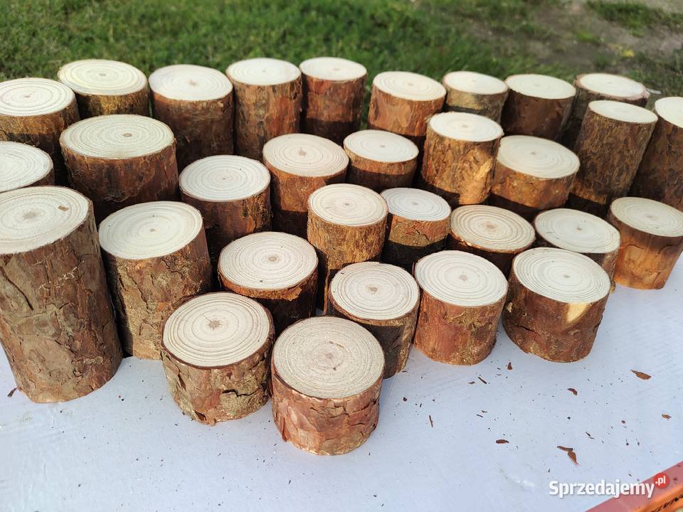 Pieńki plastry suche sosna różne średnice i podkarpackie sprzedam