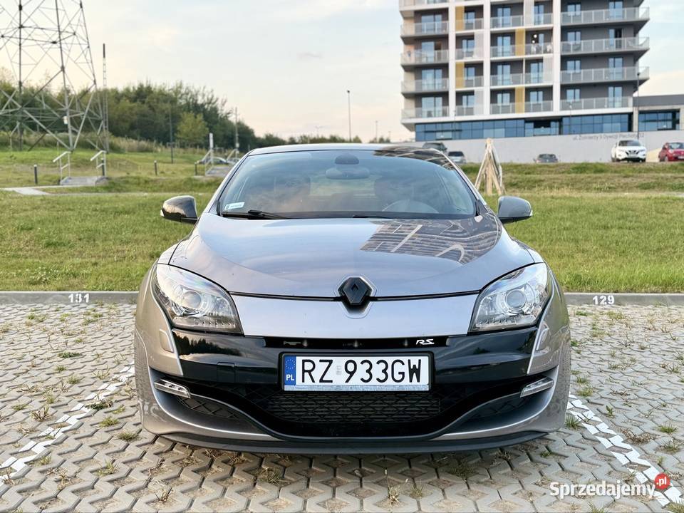 Renault Megane RS 250 1998cm3 Rzeszów