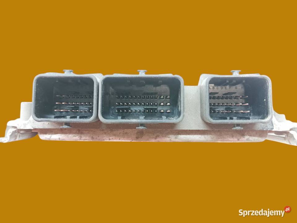 STEROWNIK SILNIKA 0261207318 9648483480 Citroen Rok produkcji 2003 świętokrzyskie