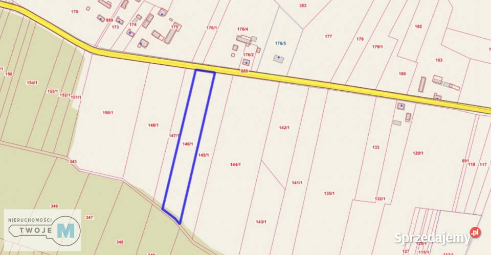 Działka 8000m2 Kluczewsko 31m