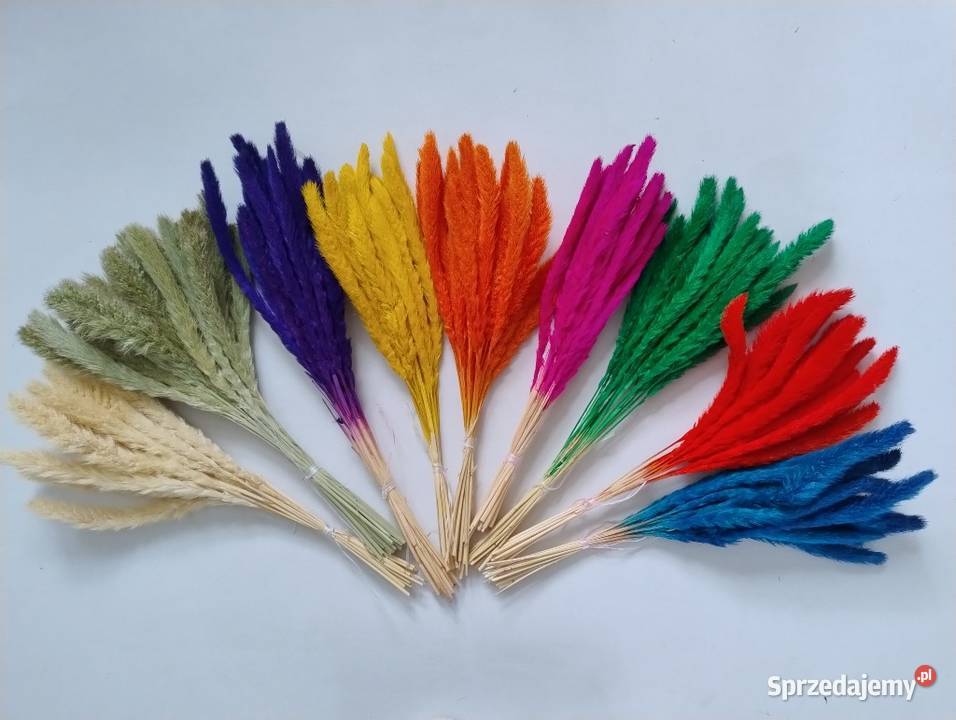 Suszone rośliny do palm bukietów Lublin