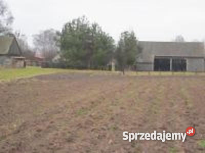Dom z dużą działką 2800m2 Hajnówka