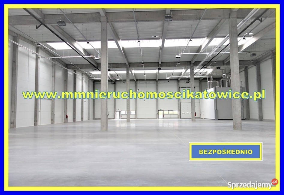 Magazyny do wynajęcia Siemianowice Śląskie
