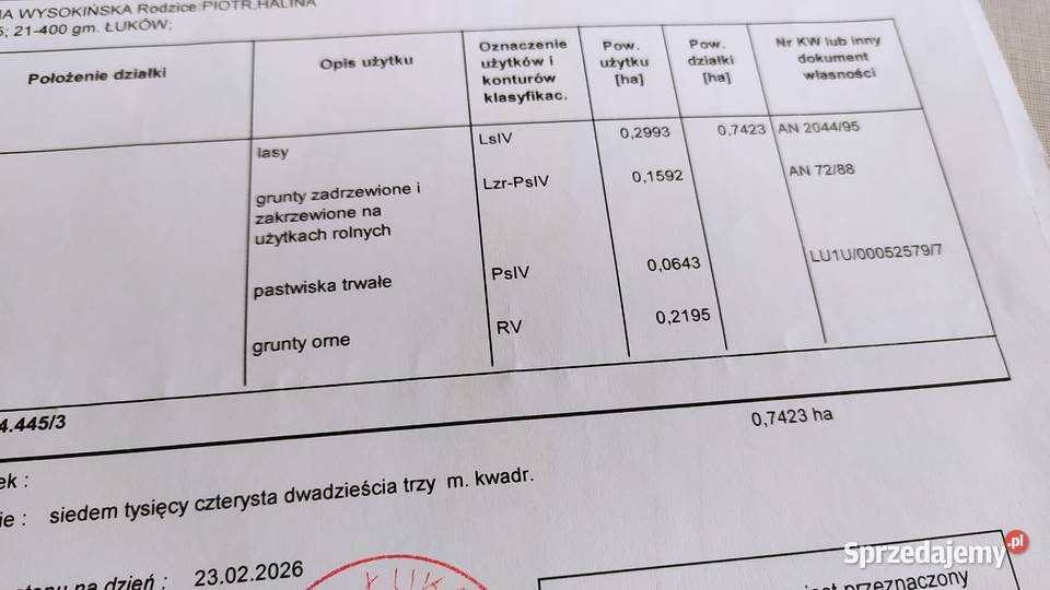 Sprzedam łake las Gołowierzchy