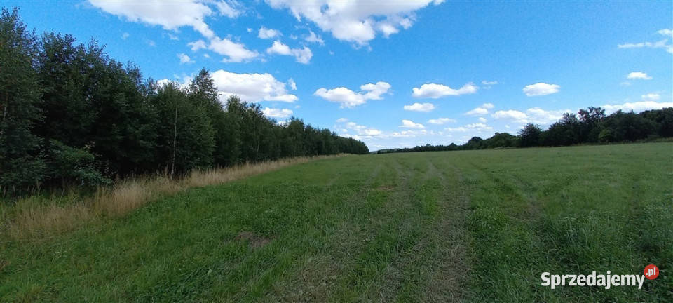 Działki w Cieszowie polna dolnośląskie Cieszów