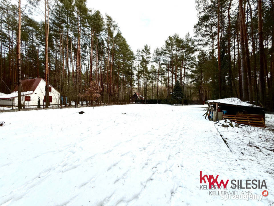 Grunt Masłońskie 3866m2 woda śląskie