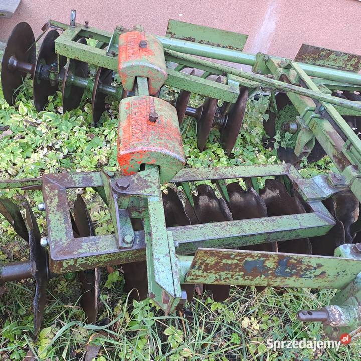 Talerzówka Eberhardt Piórków-Kolonia