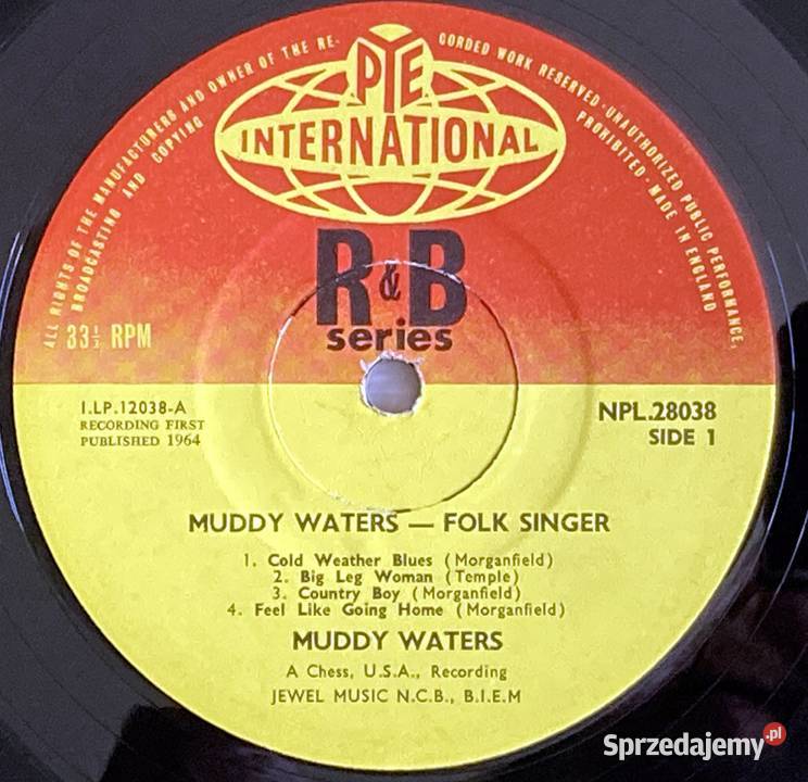 Muddy Waters Folk Singer Szczecin sprzedam