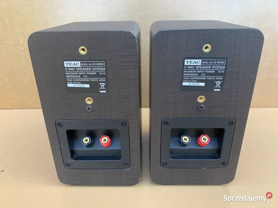Kolumny TEAC LSW300 Opole
