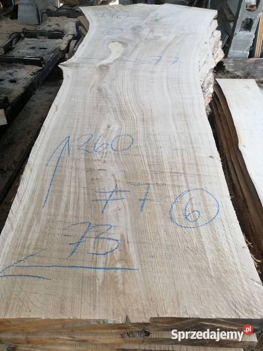 Monolit jesion dąb 260x97 x78910 Przysucha