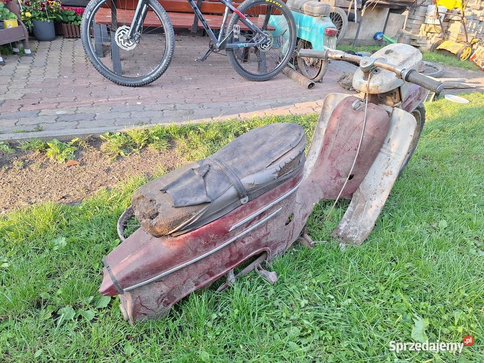 Jawa kaczka Rama pomorskie Chojnice sprzedam