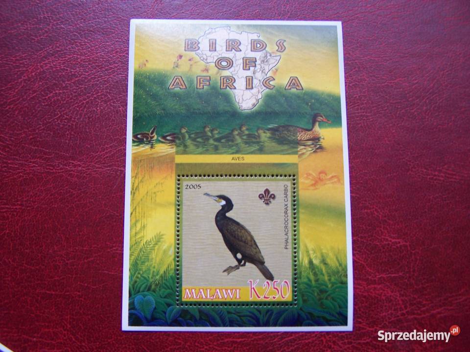 Malawi 2005 MNH Fauna Ptaki Afryki 3 śląskie