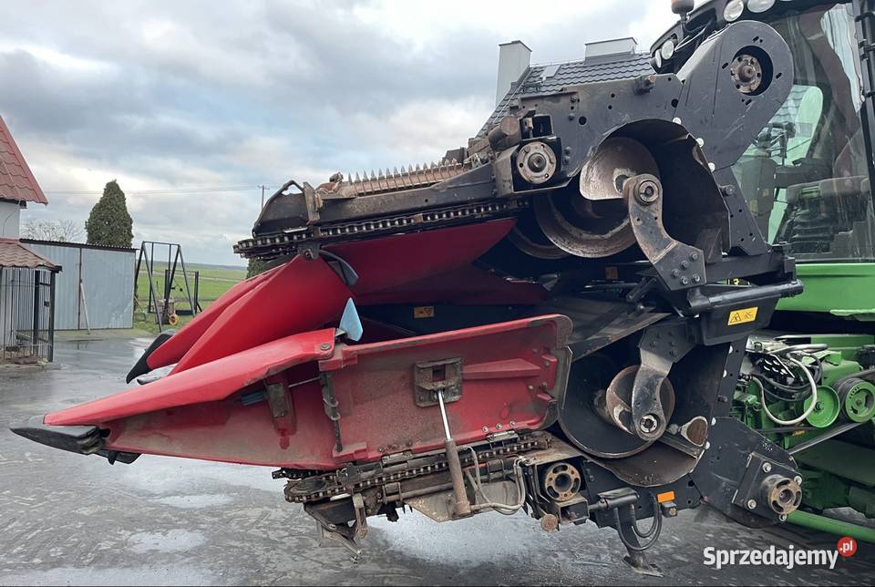 Przystawka heder do kukurydzy Geringhoff RD 800 nieuszkodzony Tuchola