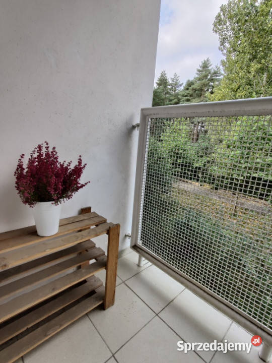 Bezpośrednio mieszkanie Umultowska 81m2 4pokoje wielkopolskie Poznań sprzedam