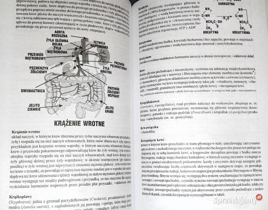 Ilustrowany słownik biologiczny E J Gorzelańczyk Chełm